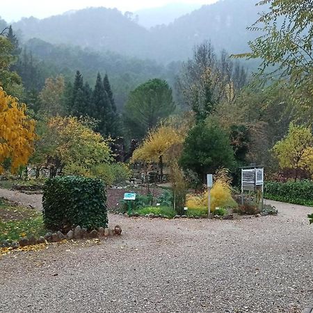 Alojamientos Bellavista Coto Rios Dış mekan fotoğraf