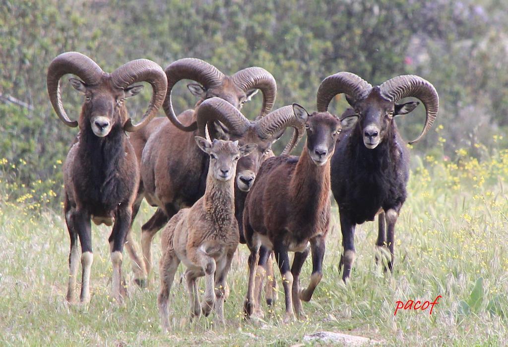 Alojamientos Bellavista Coto Rios Dış mekan fotoğraf