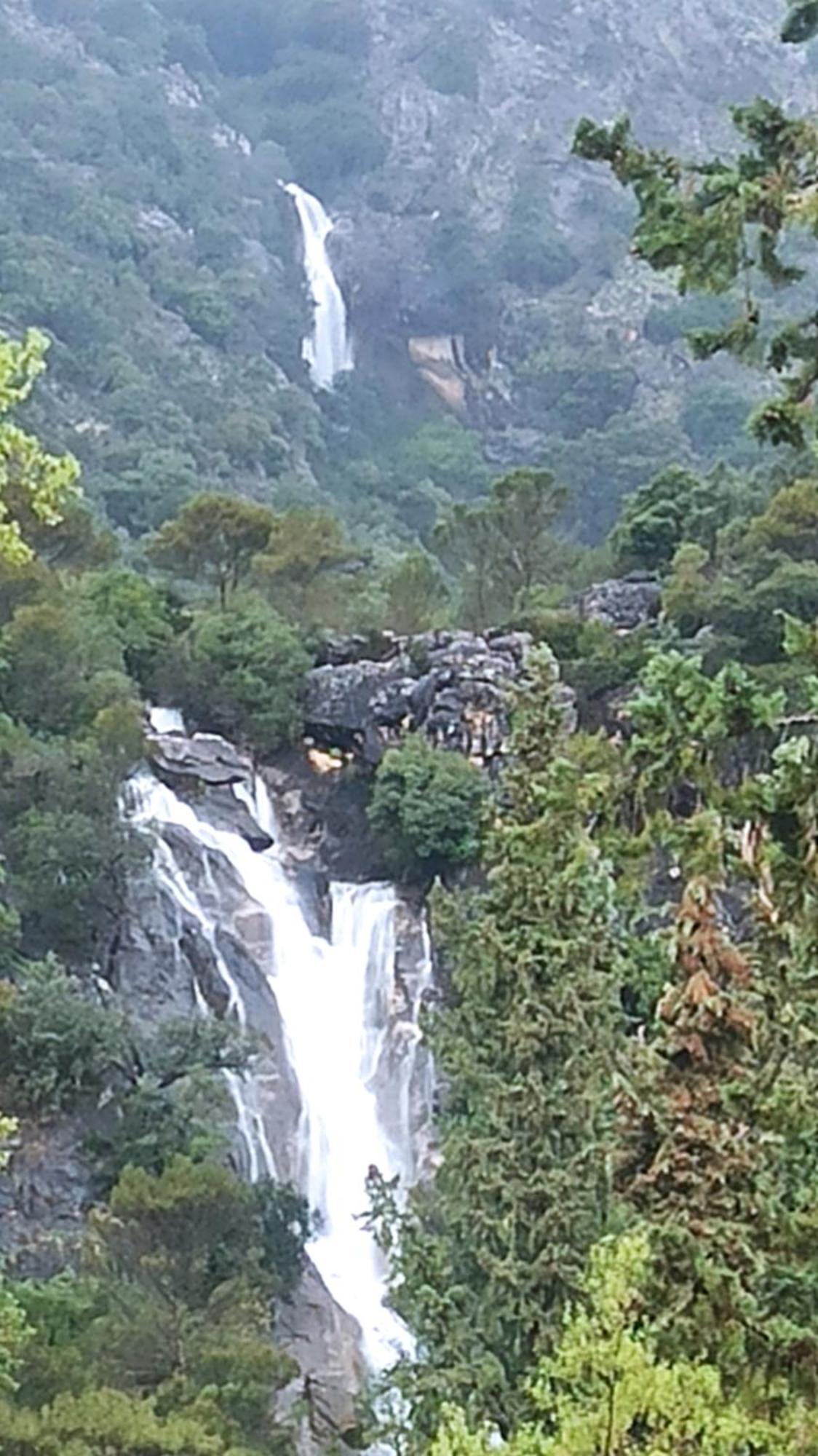 Alojamientos Bellavista Coto Rios Dış mekan fotoğraf