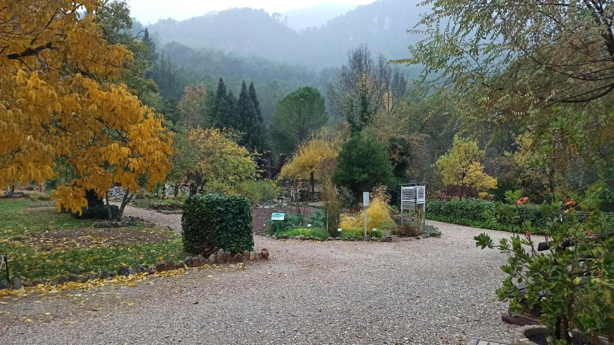 Alojamientos Bellavista Coto Rios Dış mekan fotoğraf