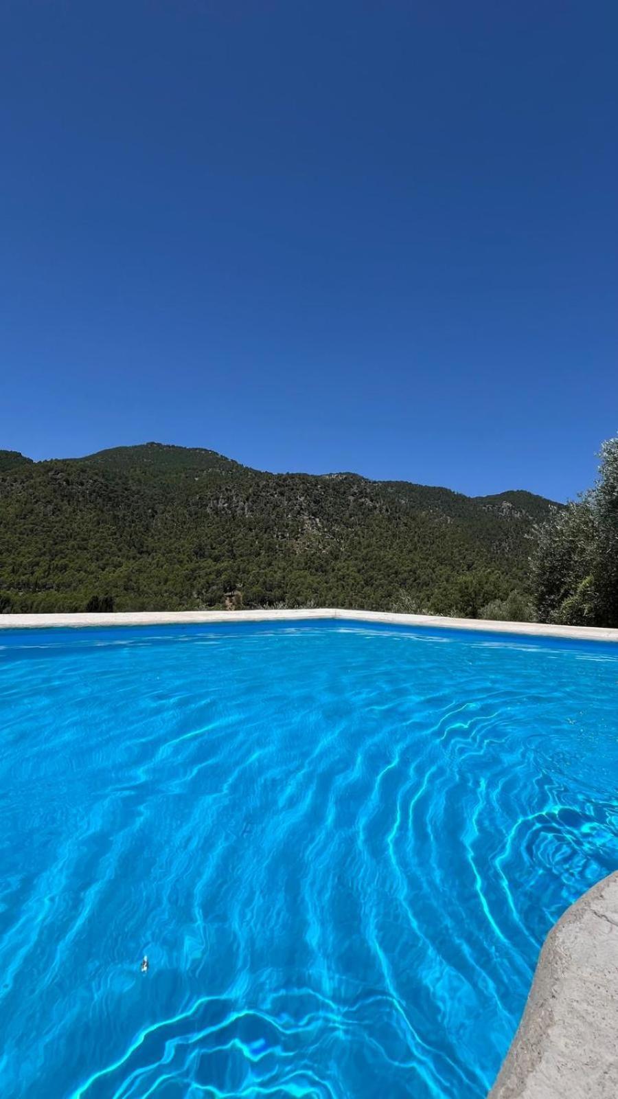 Alojamientos Bellavista Coto Rios Dış mekan fotoğraf