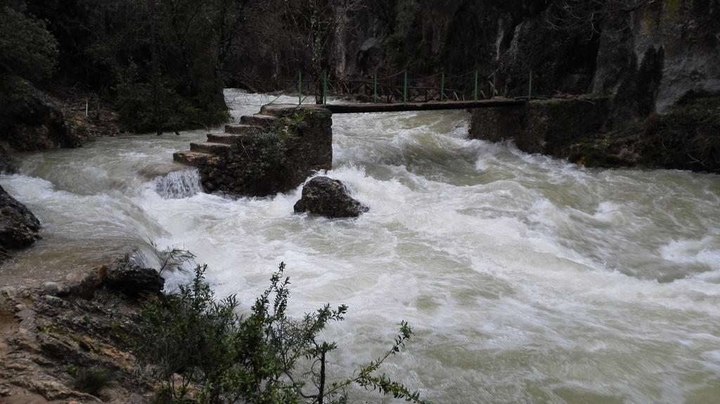 Alojamientos Bellavista Coto Rios Dış mekan fotoğraf