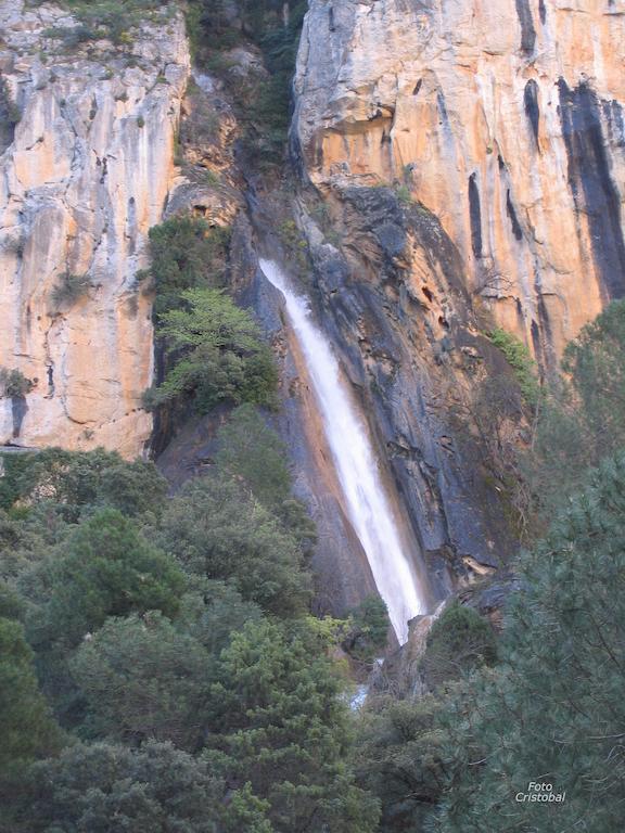 Alojamientos Bellavista Coto Rios Dış mekan fotoğraf