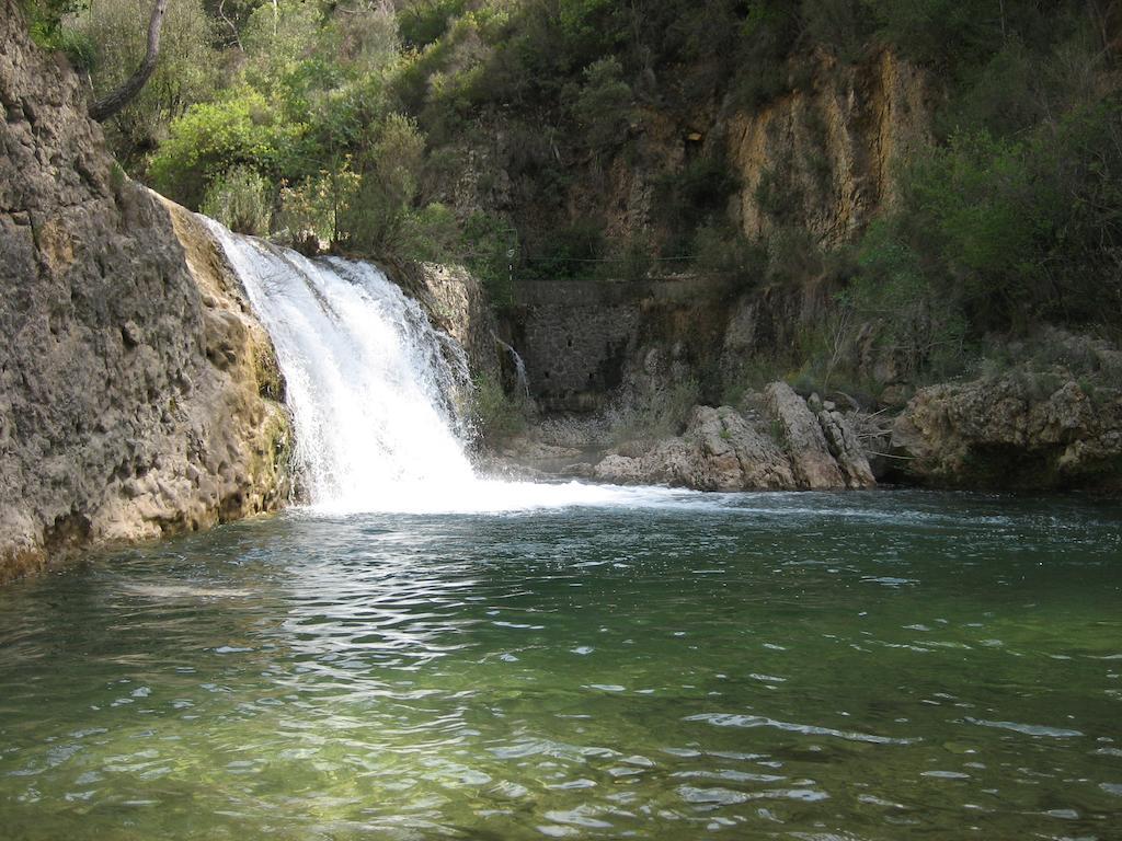 Alojamientos Bellavista Coto Rios Dış mekan fotoğraf