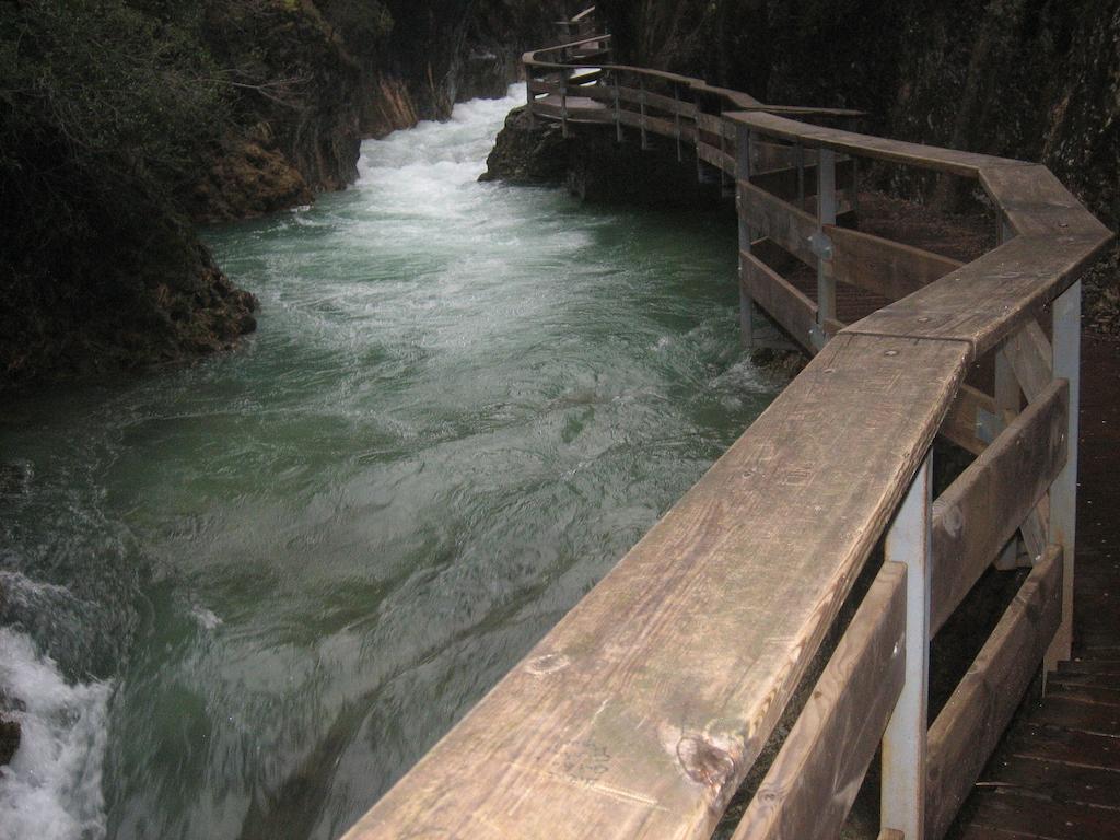 Alojamientos Bellavista Coto Rios Dış mekan fotoğraf